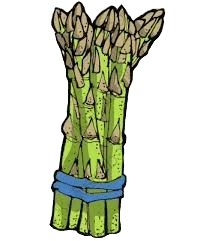 asperge, Des mérovingiens aux bourbons