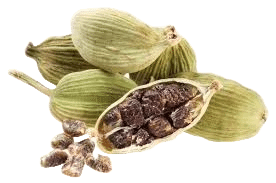 la cardamone, épices, des mérovingiens aux bourbons