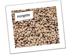 La mongette, Des mérovingiens aux bourbons